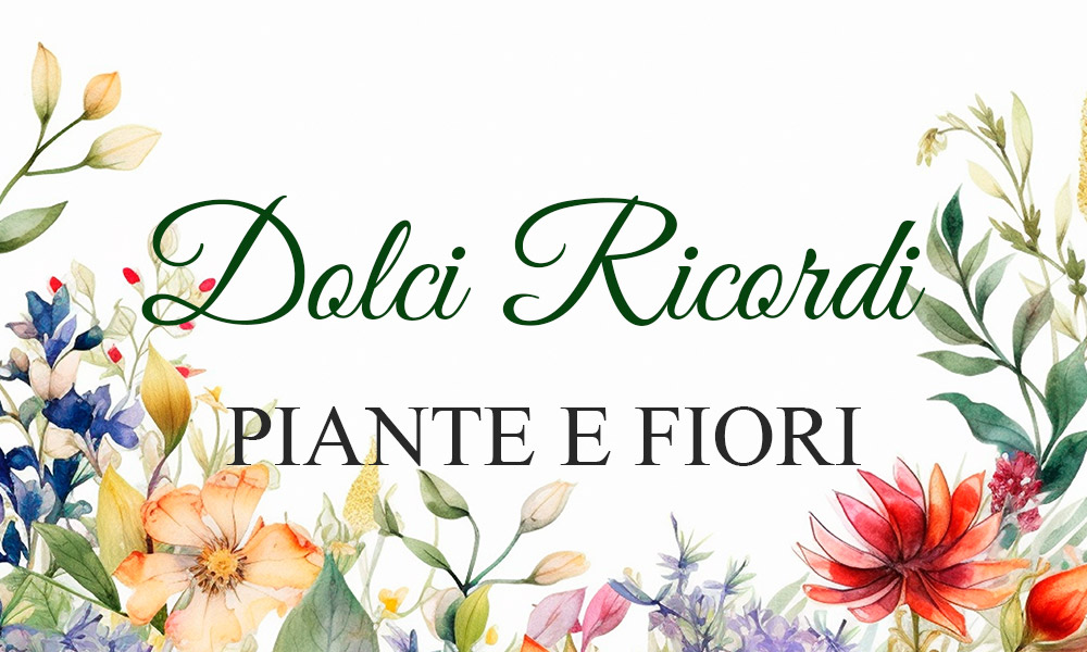 Logo Dolci Ricordi - Castelnuovo Parano
